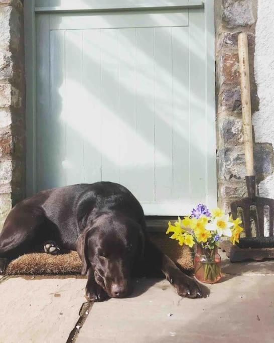 Villa The Nookery Winscombe Esterno foto