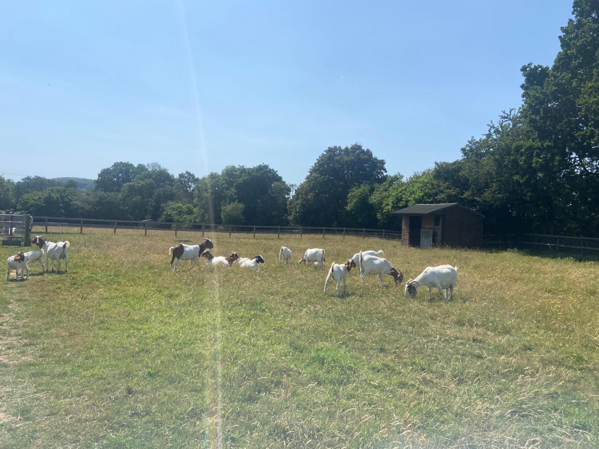 Villa The Nookery Winscombe Esterno foto